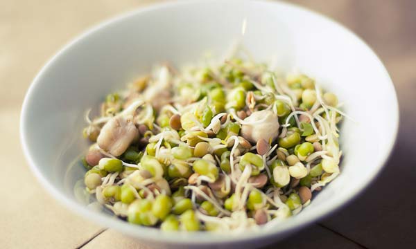 15 Dicas de Saúde que Você Precisa Conhecer com Urgência