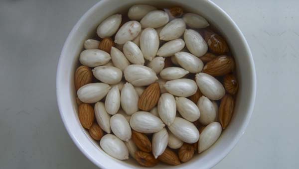 Broto de Amêndoa, um Milagroso Alimento capaz de Curar muitos Males Broto de Amêndoa, um Milagroso Alimento capaz de Curar muitos Males