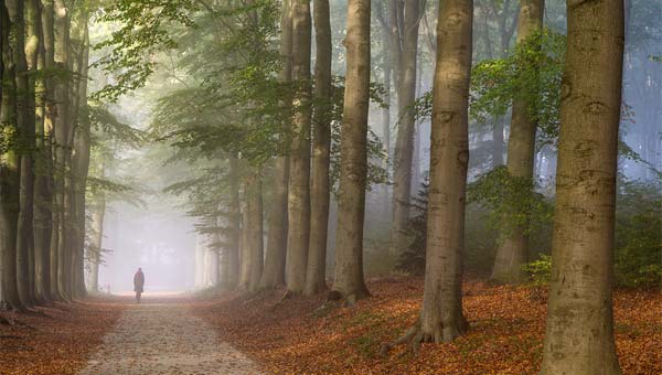 Seria a Liberdade um sonho possível de ser alcançado ou uma meta impossível de ser conquistada?