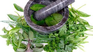 Quiz o Poder das Ervas Medicinais