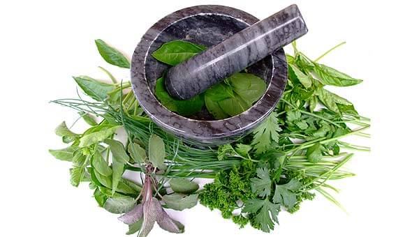 QUIZ as Ervas Medicinais e suas propriedades Curativas